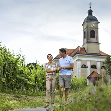 Ciclismo, terme e vino nel Pomurje