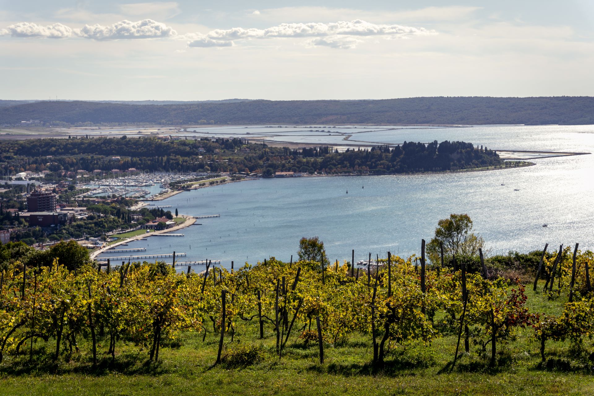 Blick auf Portorož und die Bucht von Piran von den Weinbergen aus.