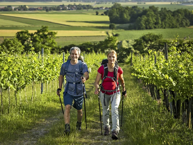 Pohodnik in pohodnica v pohodniški opremi nasmejana hodita med zelenimi vinogradniškimi griči