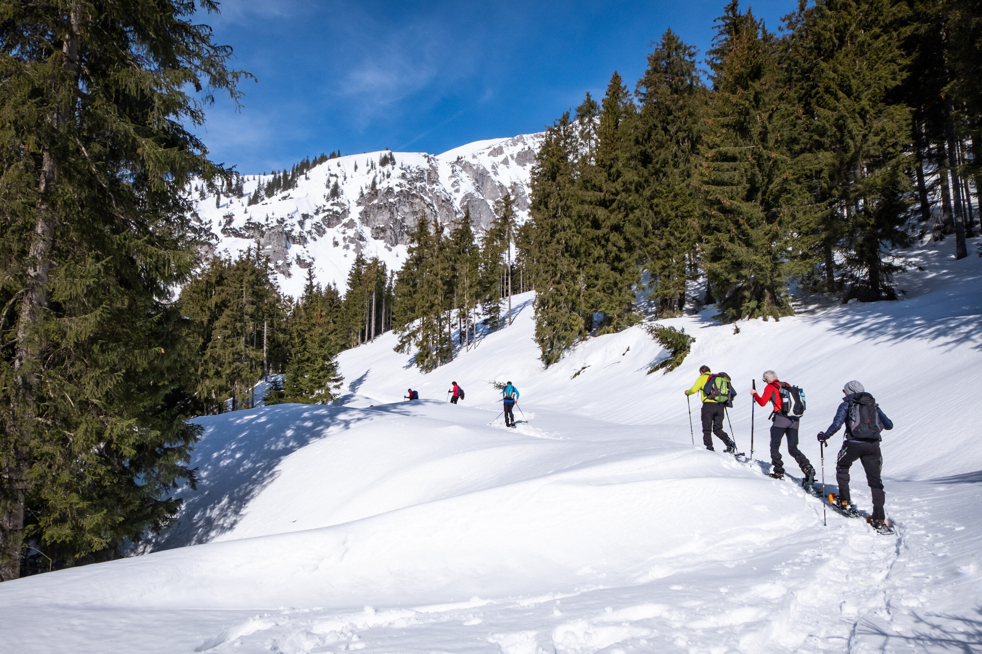 Snowshoeing