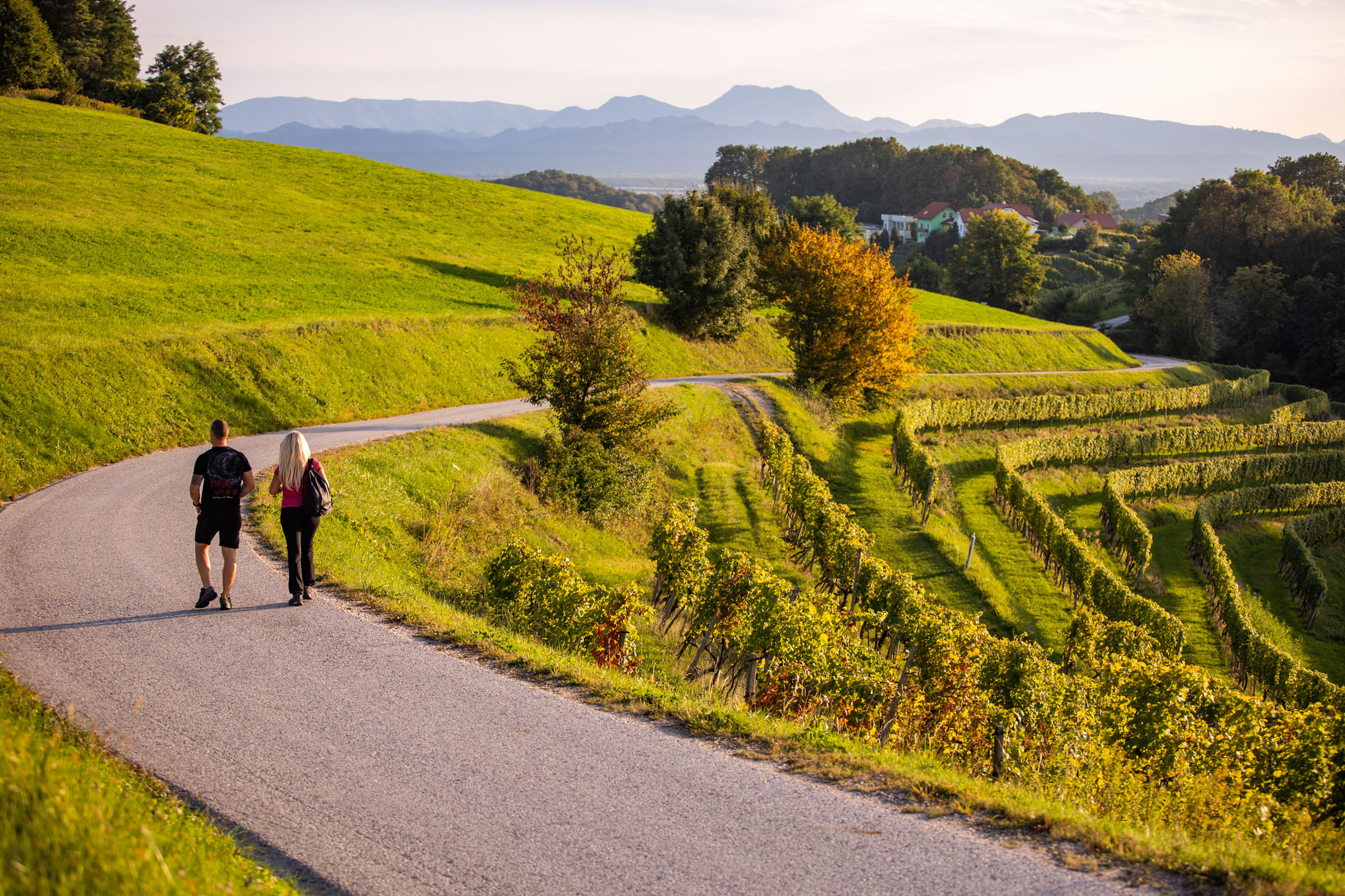 Wanderweg nach Mestni Vrh