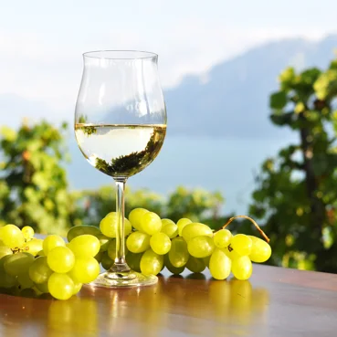 Selezione di vini dalla costa Slovena