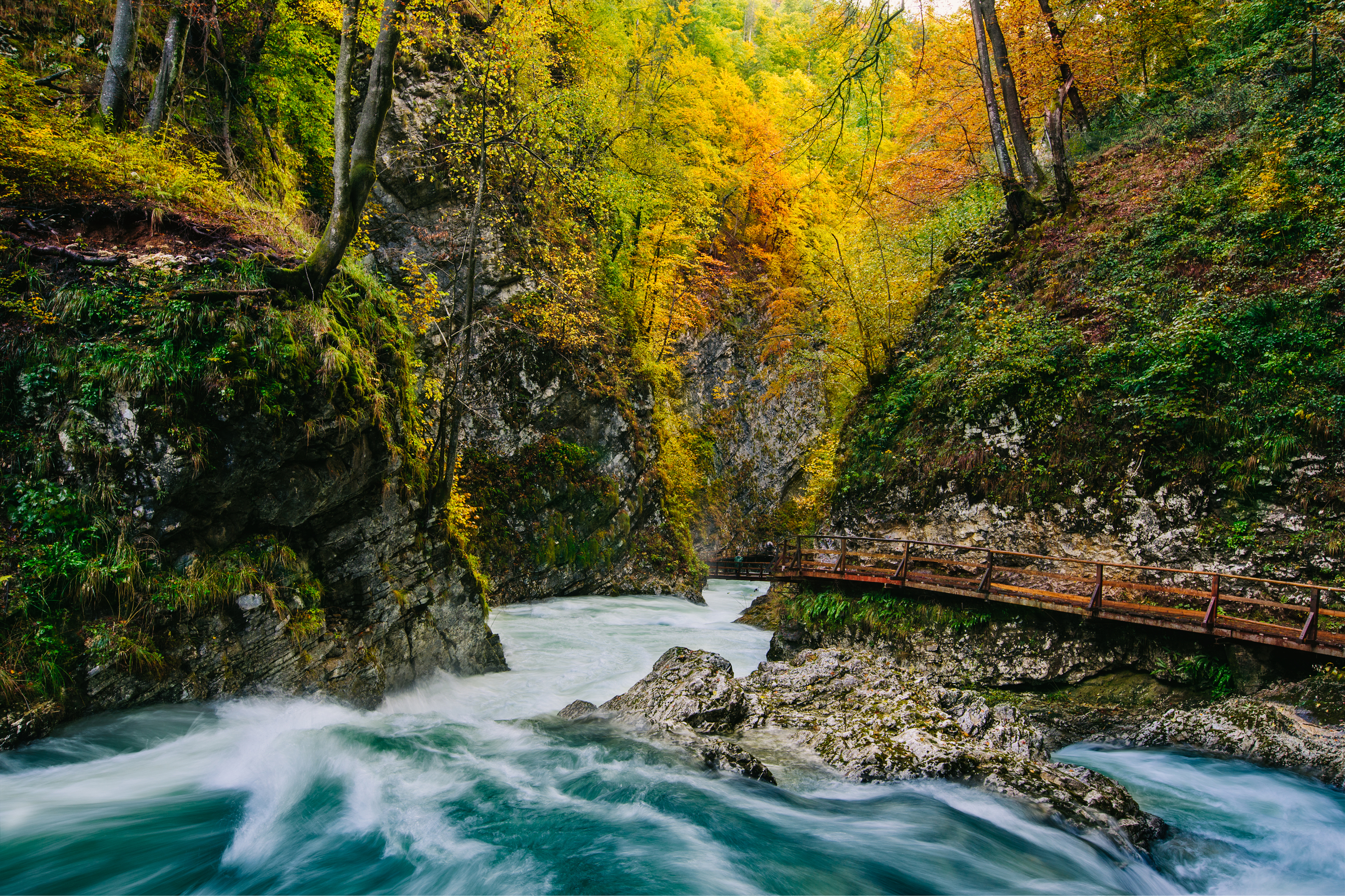 The Vintgar gorge