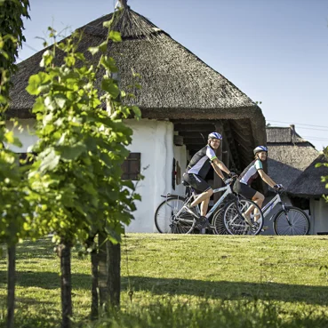 Ciclismo