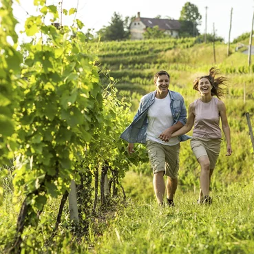 Odkrijte Ptuj z okolico kar peš!