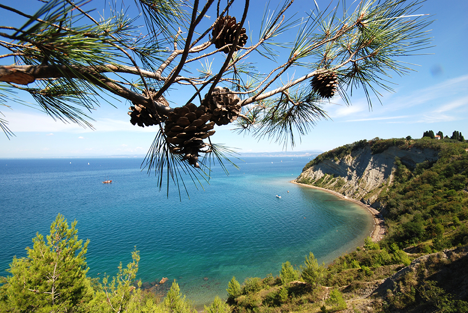 Einsamer Strand Pacug (zwischen Fiesa und Strunjan)