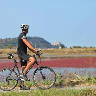 I sentieri ciclabili più belli sulla costa Slovena