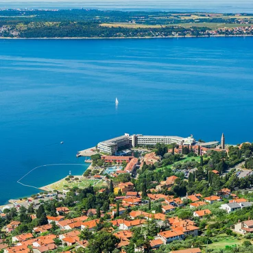 Opazovanje delfinov na slovenski Obali Panoramski pogled na slovensko obalo in hotel Bernardin