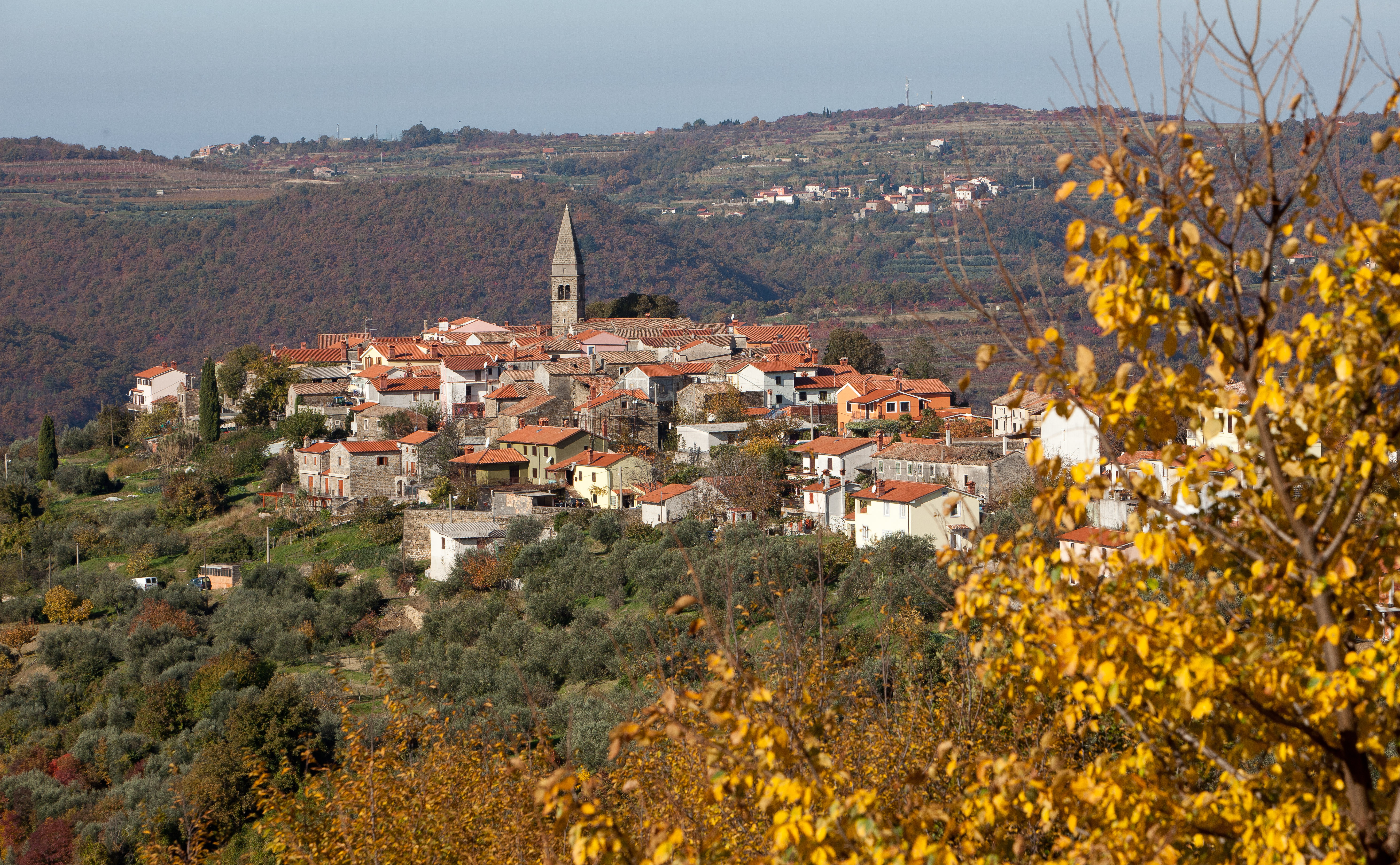 3. Okoli istrske vasice Padna