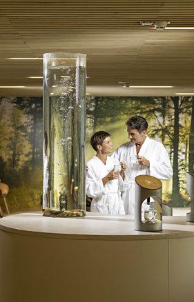 Terme Zdravilišče Radenci